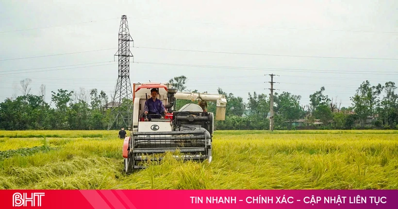 Tranh thủ thời tiết thuận lợi, đẩy nhanh tiến độ thu hoạch lúa xuân