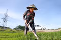Xuống giống lần 2, nông dân TX Kỳ Anh chăm sóc kỹ lúa hè thu