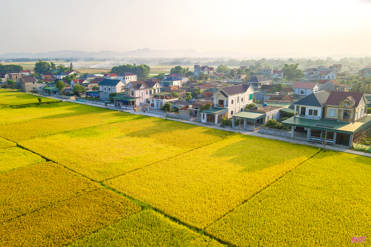 Sắc màu mùa gặt