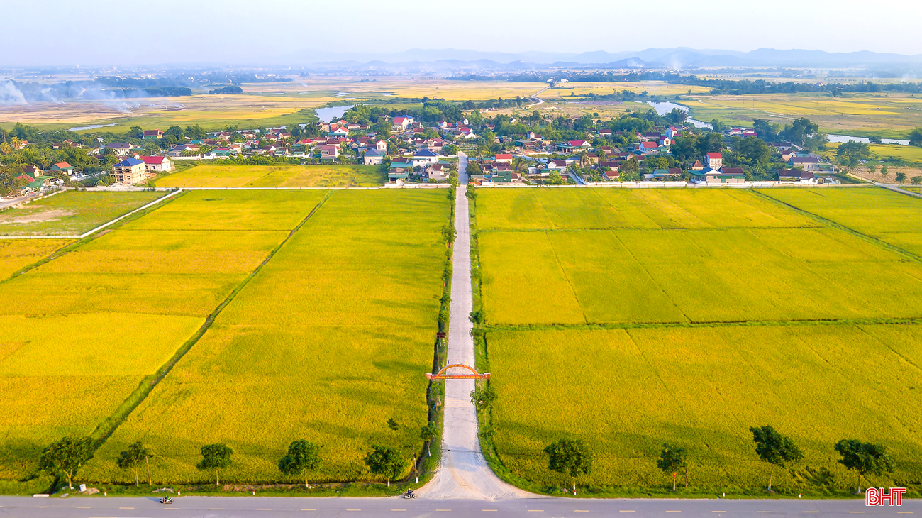 Sắc màu mùa gặt