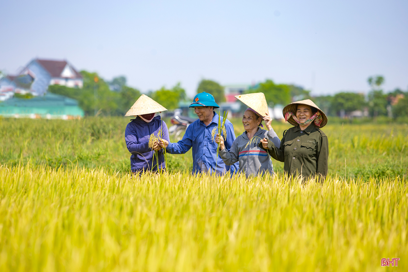 Sắc màu mùa gặt