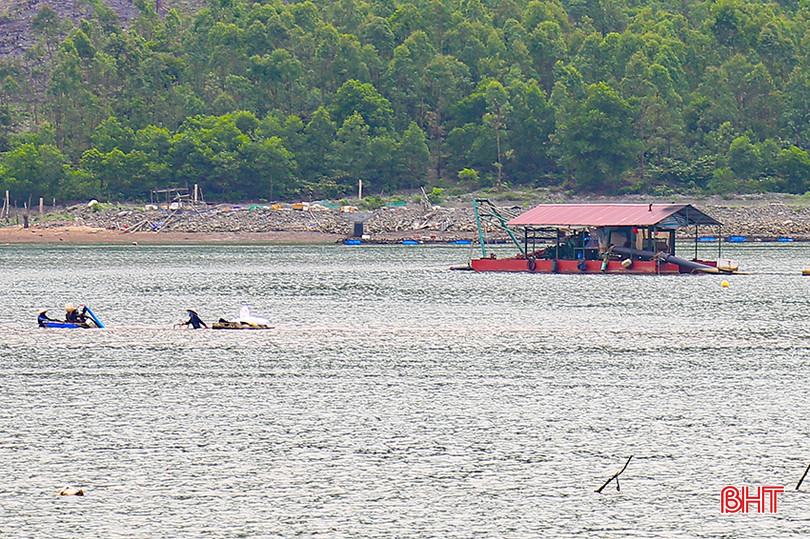 IMG_0005.jpg