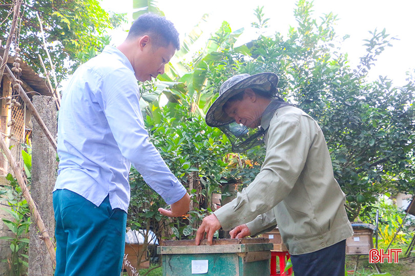 Hà Tĩnh đã phát triển hơn 42.000 đàn ong mật.