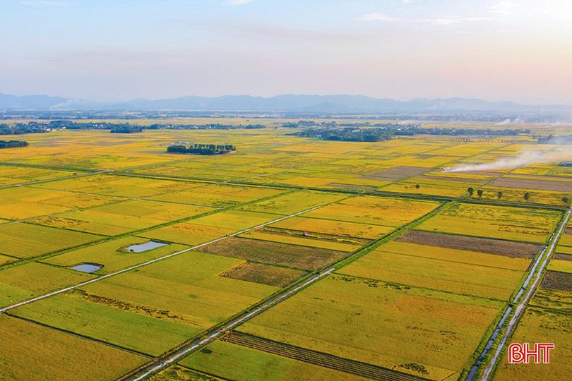 DJI_0359.jpg