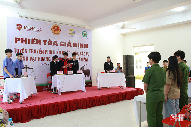 Hình 3.JPG