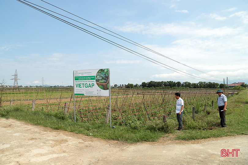b_9974.jpg