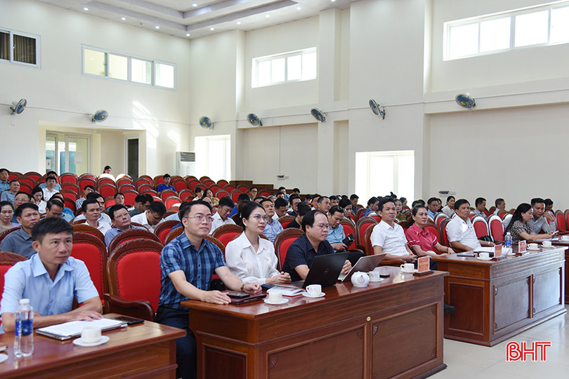 DSC_7219 copy.jpg