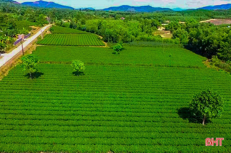 137d1142339t91835l0.jpg
