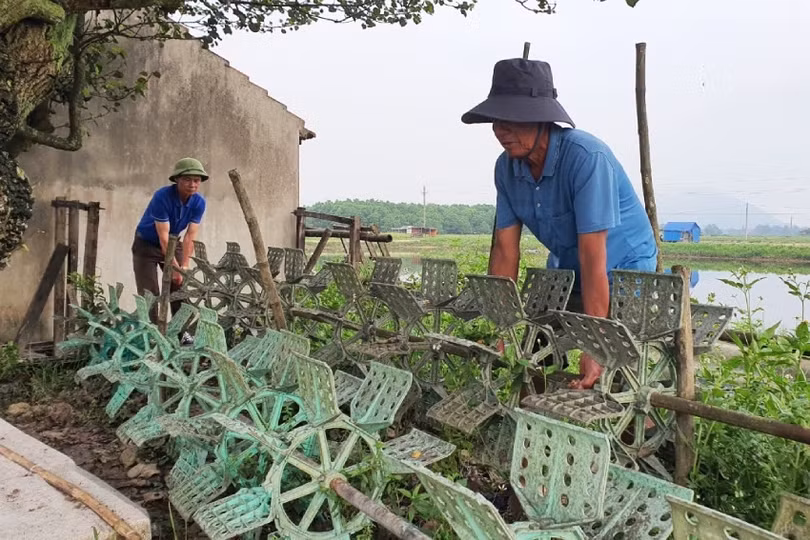 kỳ ninh 3.jpeg