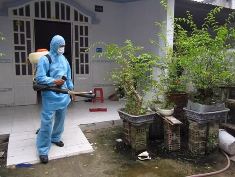 Diệt mối 24H 1.jpg