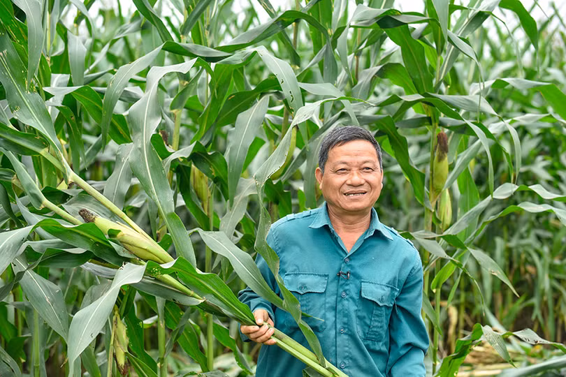 anh-5a-17186056803871285049979.jpg