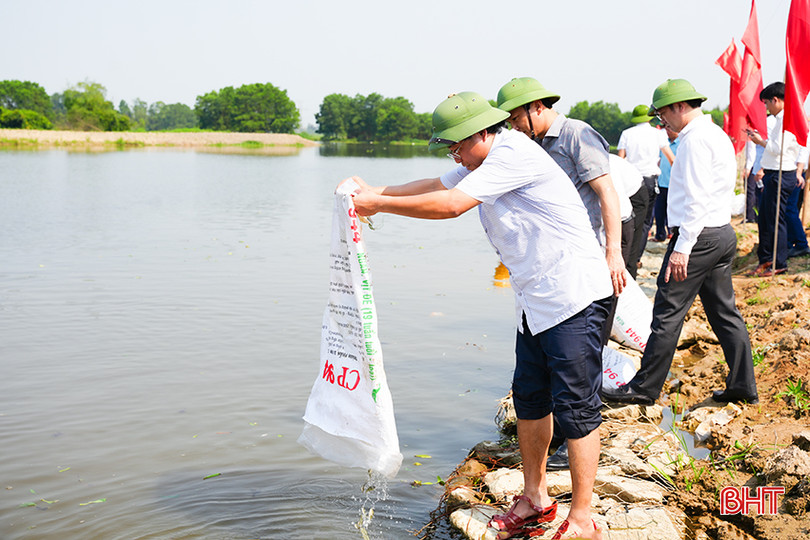 Lãnh đạo TP Hà Tĩnh thả cá tại sông Đông (phường Thạch Linh).