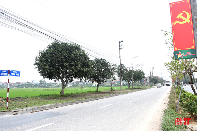aDSC_2302 copy.jpg