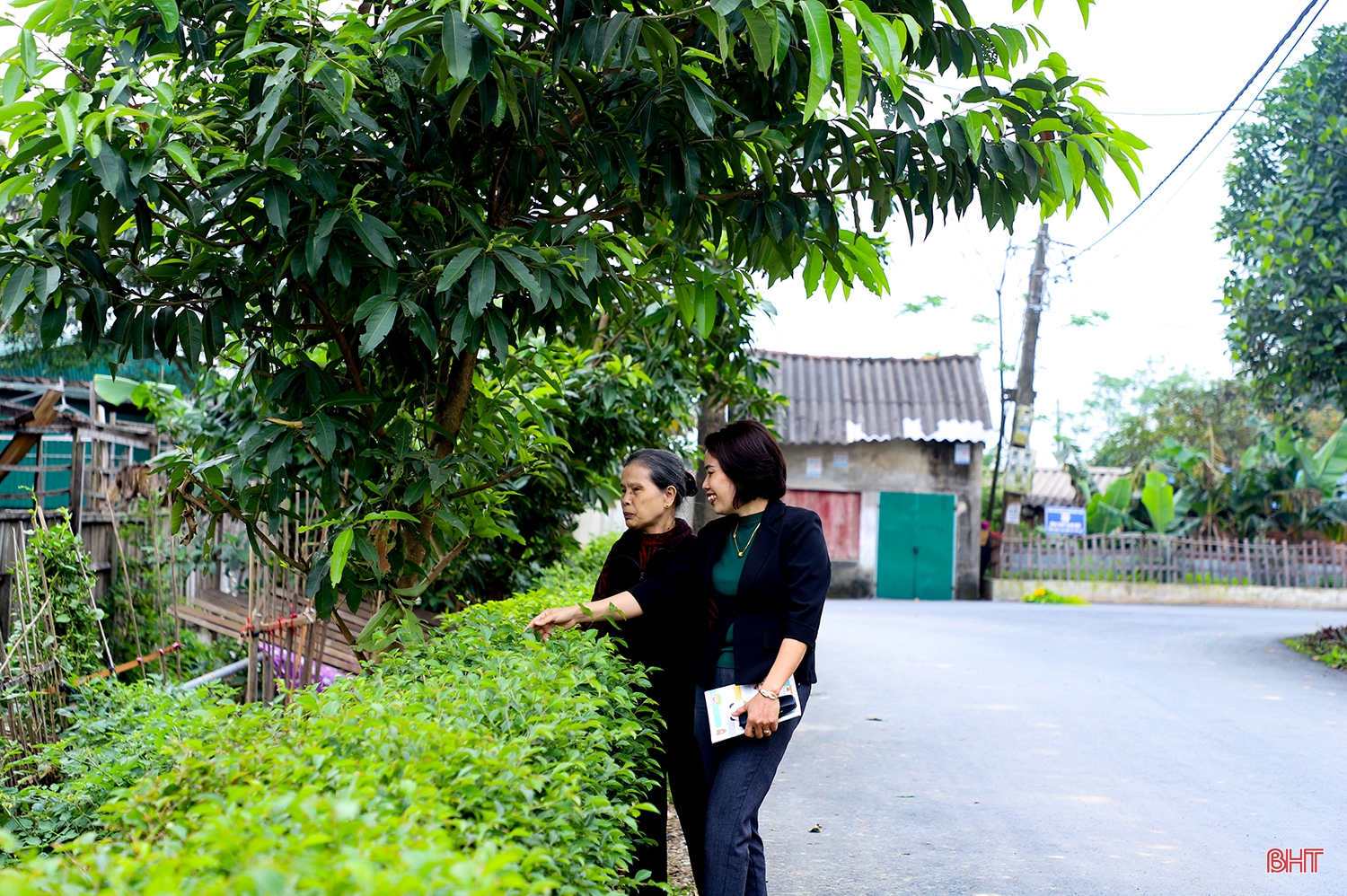 “Chất thép” của nữ Trưởng thôn Gia Thịnh