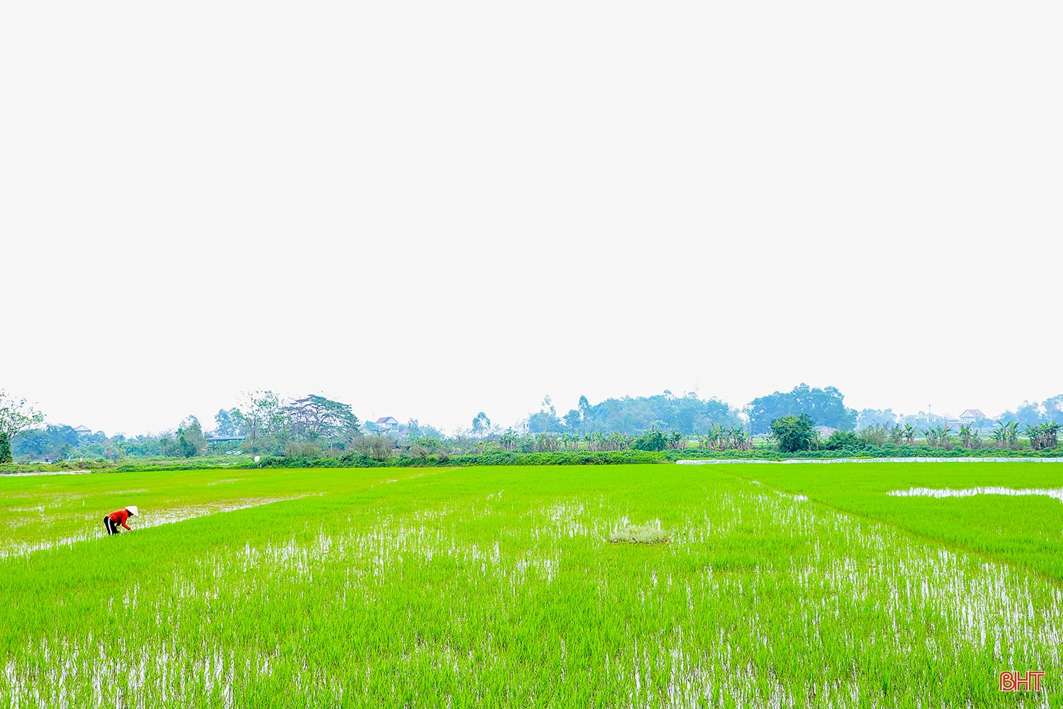 “Chất thép” của nữ Trưởng thôn Gia Thịnh