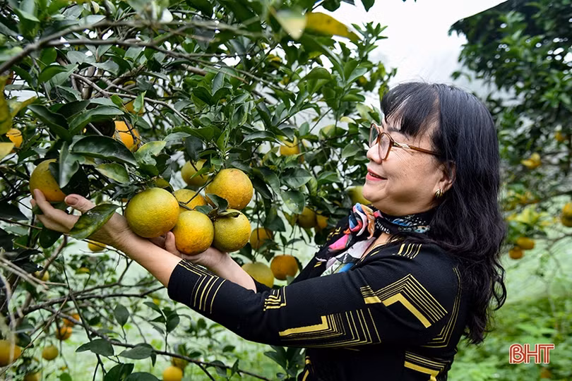 Văn nghệ sĩ đi thực tế sáng tác “Nông thôn Hà Tĩnh - Xưa và nay”