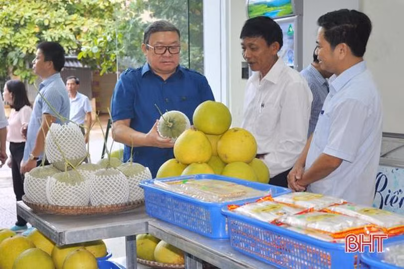 Cửa hàng nông sản an toàn - kênh tiêu thụ sản phẩm hiệu quả của nông dân Hà Tĩnh