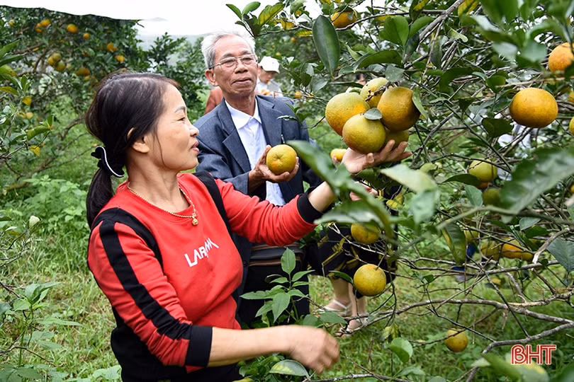 Văn nghệ sĩ đi thực tế sáng tác “Nông thôn Hà Tĩnh - Xưa và nay”