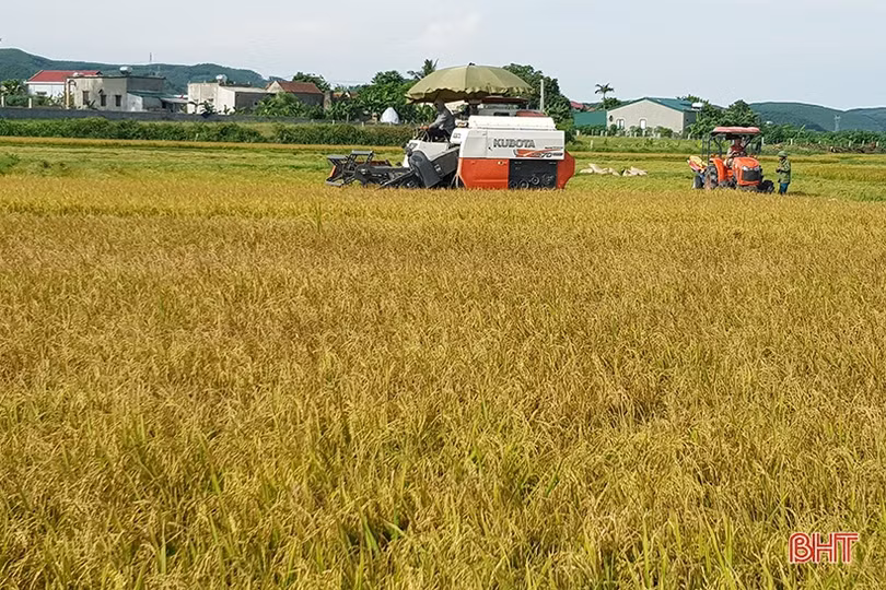 Hà Tĩnh khởi động cho mục tiêu tăng trưởng nông nghiệp 2,5%