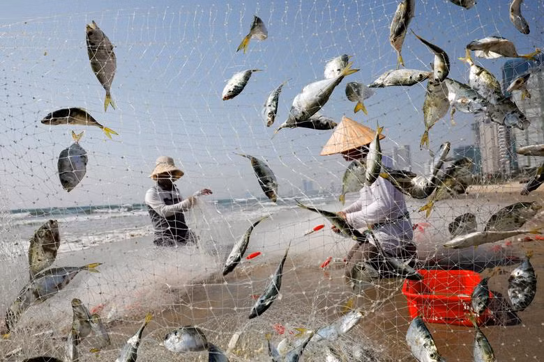 Mỗi quốc gia một bức ảnh ấn tượng năm 2020 của Reuters
