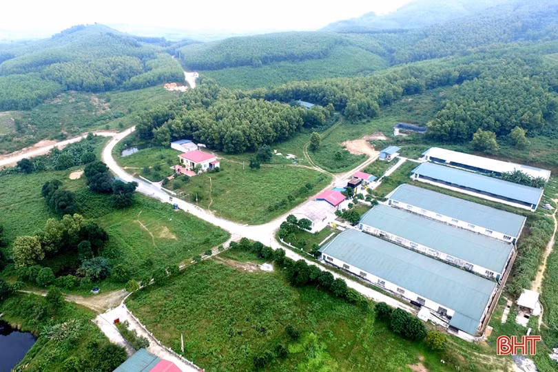 Chàng kỹ sư và anh nông dân trẻ Hà Tĩnh bắt tay xử lý nước thải chăn nuôi