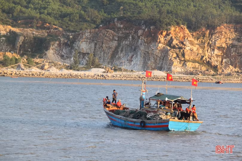 Ra khơi đầu năm mới, ngư dân Hà Tĩnh trúng đậm cá cơm