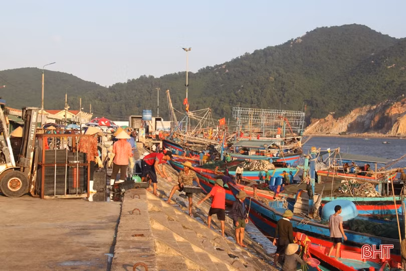 Ra khơi đầu năm mới, ngư dân Hà Tĩnh trúng đậm cá cơm