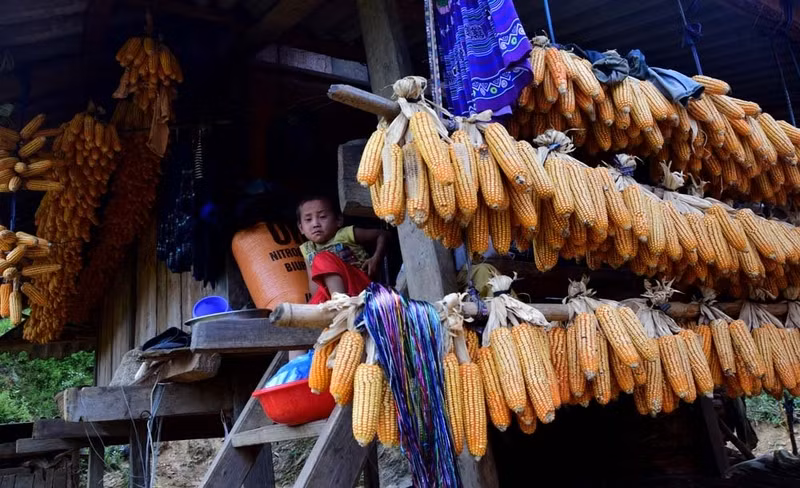 thu sang mien son cuoc mu cang chai dep den nao long