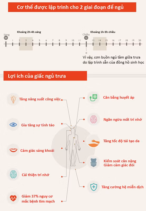 tac dung quan trong khi ngu trua 30 phut moi ngay