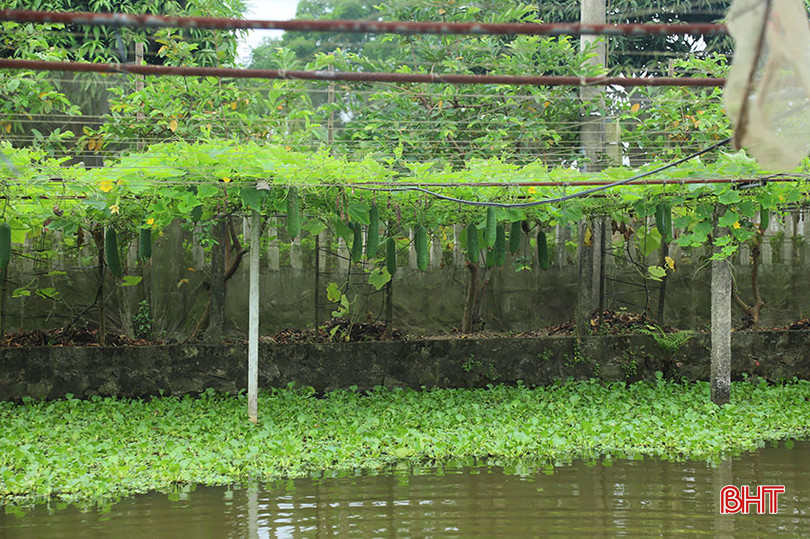 Ảnh 02.jpg