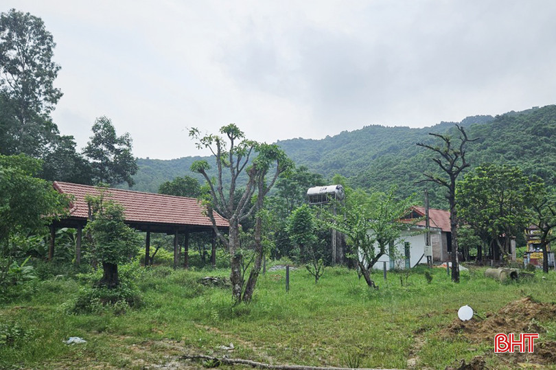 xuan lien 4A.jpg
