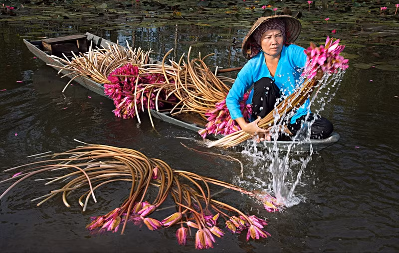 mien nui nong thon thanh pho ruc sac mau qua anh dau an viet nam