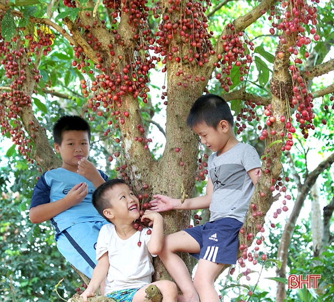 Những mùa hè thương nhớ…