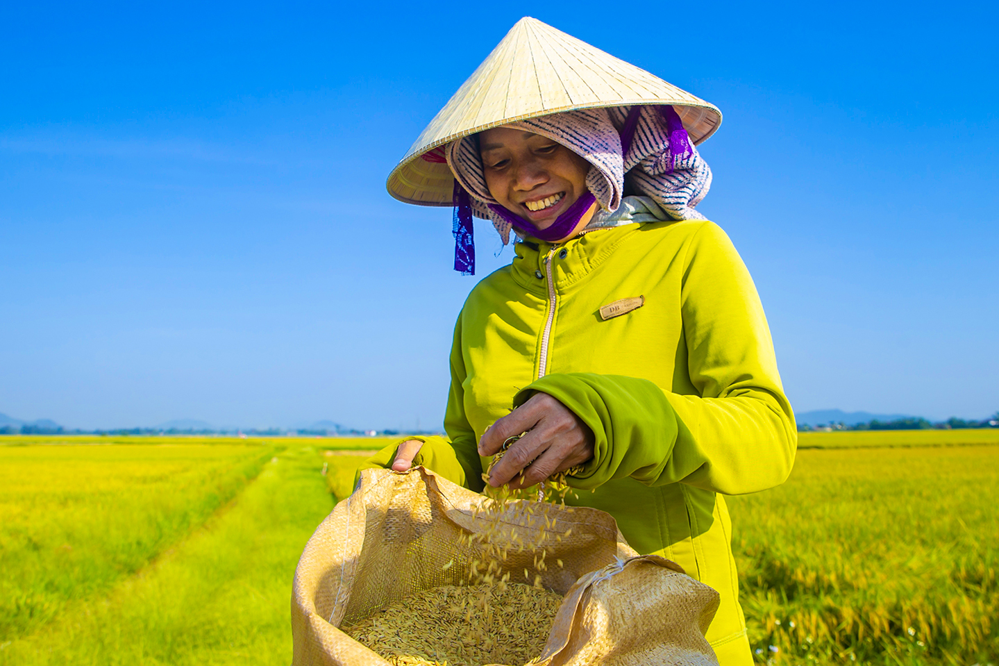Mùa vui trên ruộng đồng Hà Tĩnh