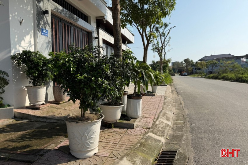 bqbht_br_co-anh-cms-3.jpg