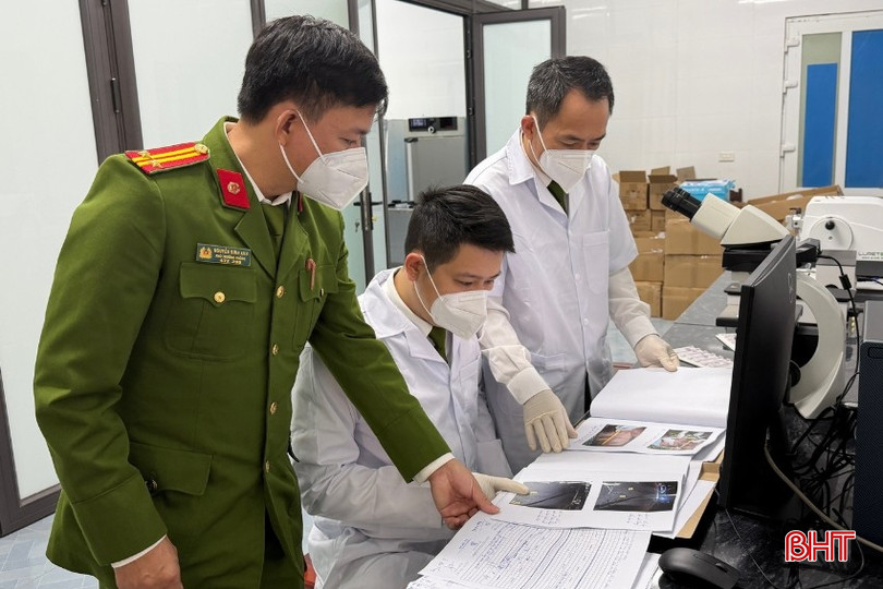 bqbht_br_co-anh-cms-8.jpg