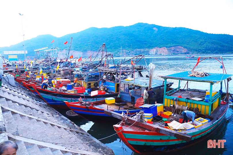 EC kiểm tra về chống khai thác IUU tại Việt Nam