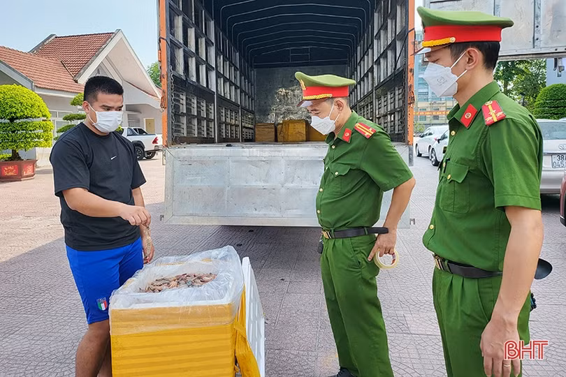 Phát hiện xe tải chở 300kg tôm bốc mùi hôi thối