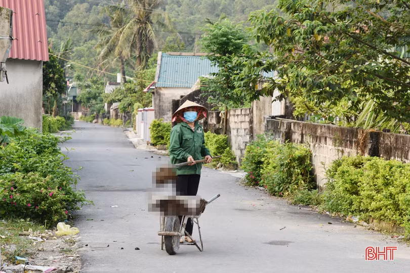 Chờ “gom” trâu, bò về một khu vực