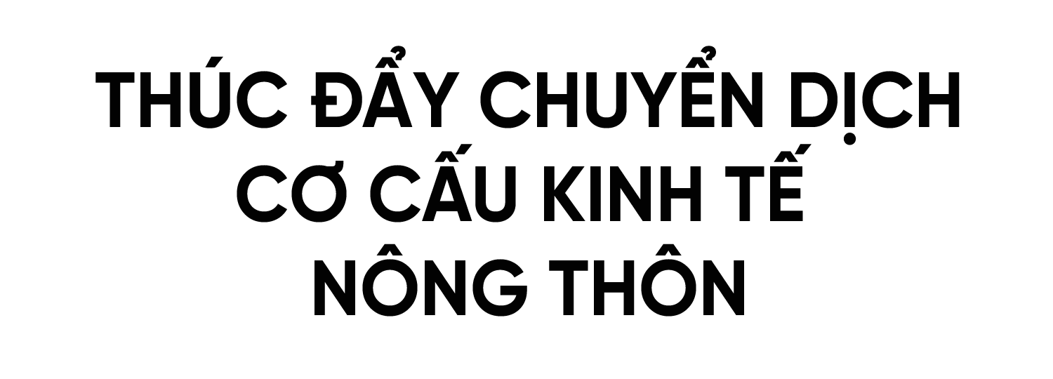 Xây dựng NTM ở Hà Tĩnh: Đi vào chiều sâu, hiệu quả và bền vững (Bài 2): Phát triển kinh tế nông thôn theo hướng hiện đại, hội nhập