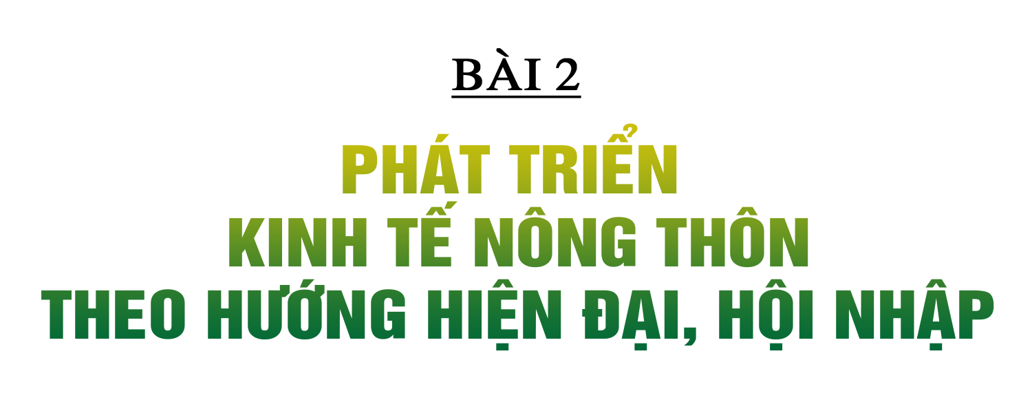 Xây dựng NTM ở Hà Tĩnh: Đi vào chiều sâu, hiệu quả và bền vững (Bài 2): Phát triển kinh tế nông thôn theo hướng hiện đại, hội nhập