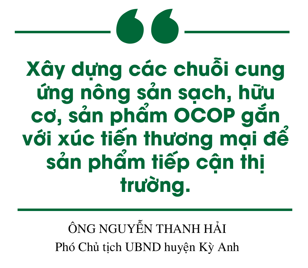 Xây dựng NTM ở Hà Tĩnh: Đi vào chiều sâu, hiệu quả và bền vững (Bài 2): Phát triển kinh tế nông thôn theo hướng hiện đại, hội nhập