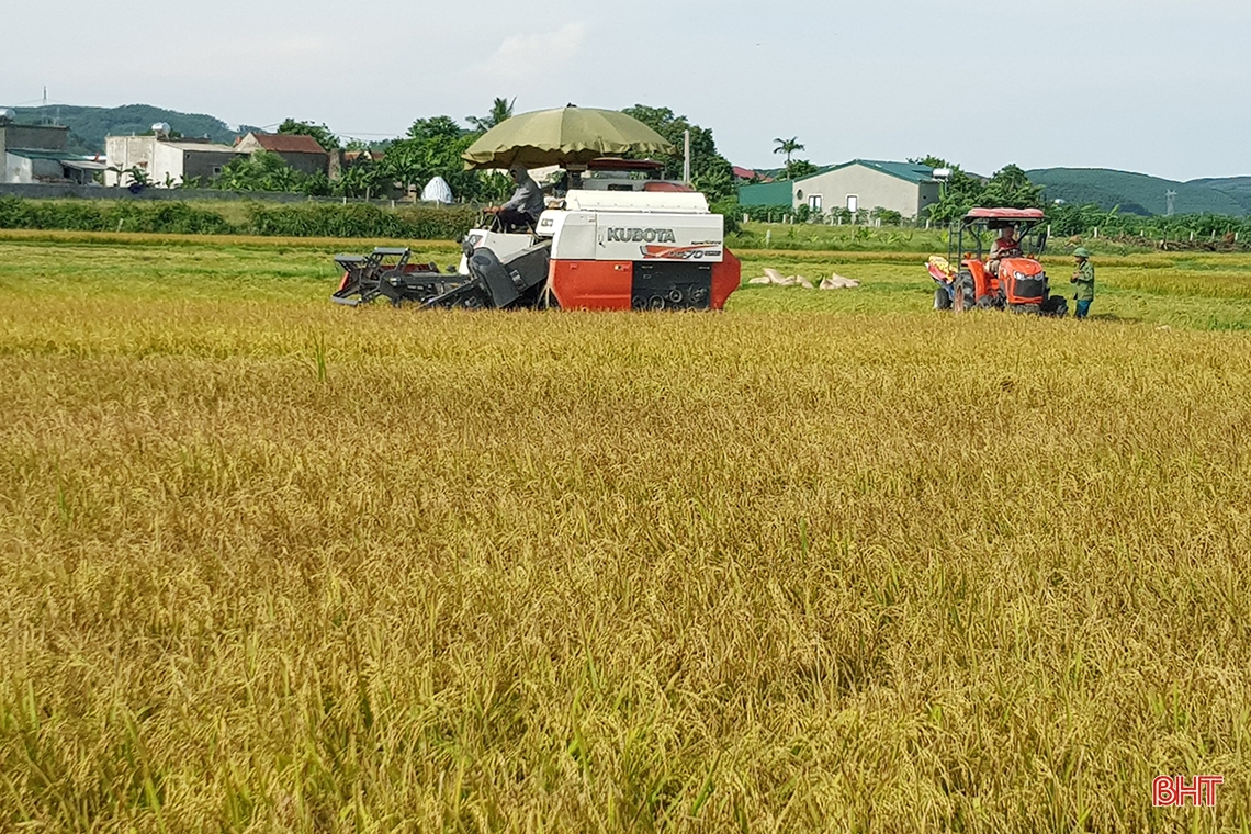 Hà Tĩnh quyết liệt hành động, phấn đấu tăng trưởng cao hơn bình quân cả nước