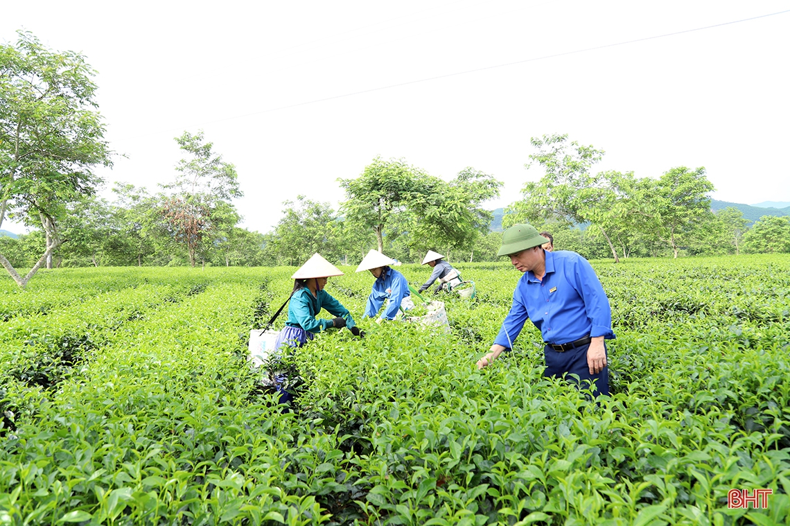 Hà Tĩnh quyết liệt hành động, phấn đấu tăng trưởng cao hơn bình quân cả nước