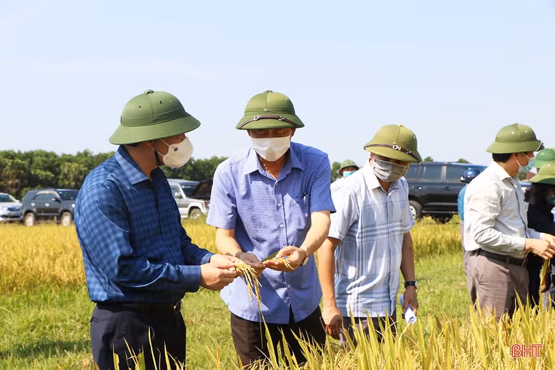 Công an Cẩm Xuyên giúp dân kêu gọi máy gặt về, củng cố hồ sơ xử lý 2 đối tượng vi phạm