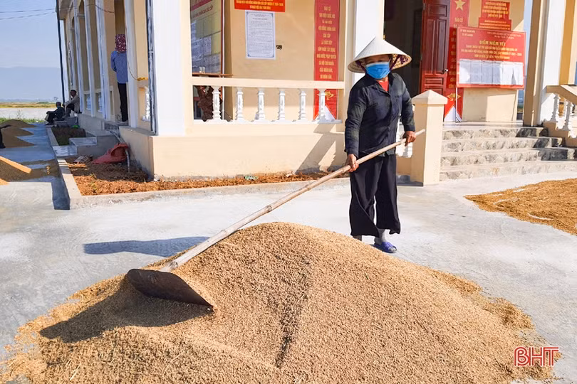 Cử tri phía Nam Hà Tĩnh hối hả hoàn tất mùa vụ để đi bỏ phiếu bầu cử