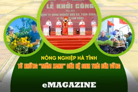 Nông nghiệp Hà Tĩnh (bài cuối): Kiến tạo động lực, nâng cao giá trị gia tăng