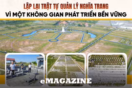 Bài cuối: Cần sự vào cuộc quyết liệt và đồng bộ