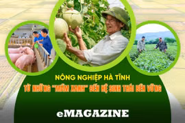 Nông nghiệp Hà Tĩnh (bài 2): Hành trình chuyển đổi còn nhiều thử thách