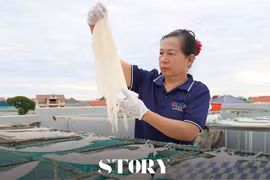Tôi gói nắng vàng vào từng thớ mực Thiên Cầm